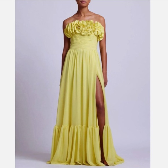 PatBO Dresses & Skirts - PatBo Pleated Strapless Maxi Dress